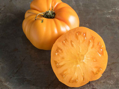 Beefsteak Tomato 'Yellow Brandywine'