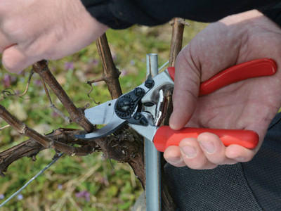 Felco No 7 - One Handed Pruning Shears