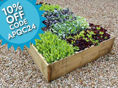 Timber Raised Bed Kit - 22.5cm High Allotment Planter