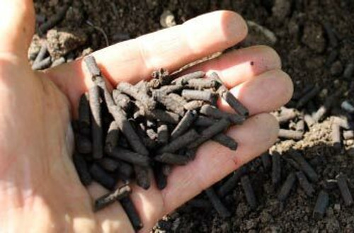 Plant Feed