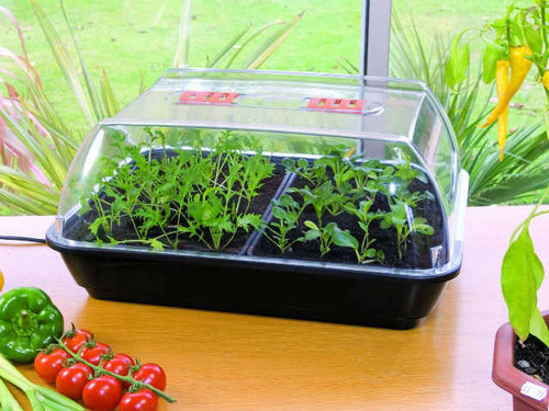 small electric propagator from let's grow