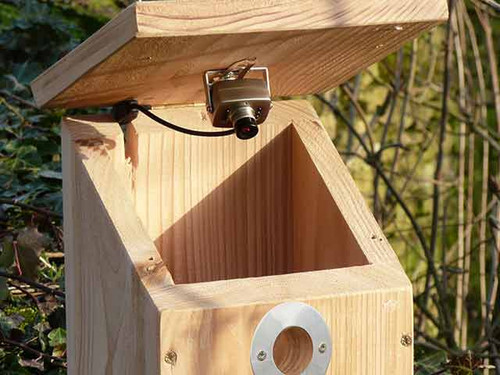 nestbox camera