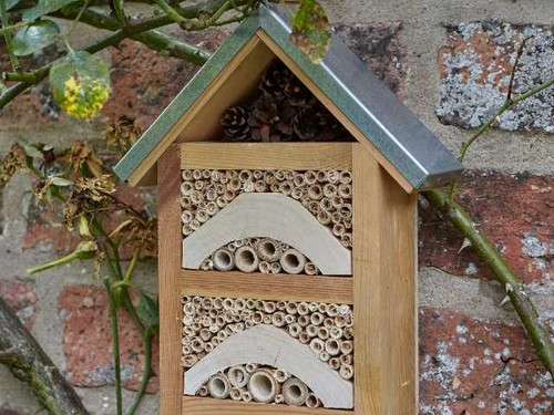 Garden Insect Hotel