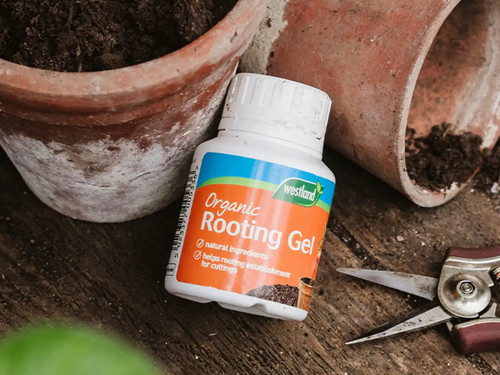 Organic rooting gel for the establishment of cuttings