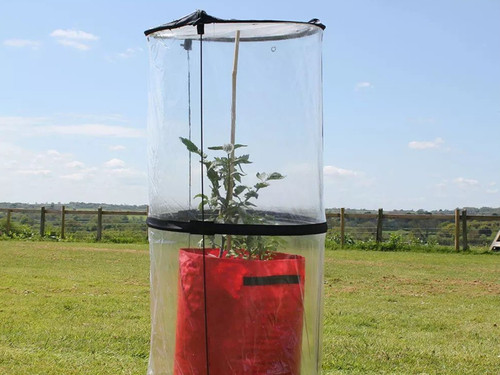 Twist up tomato cloche - Haxnicks