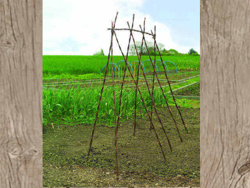 twisted willow bean sticks for garden structures
