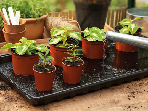 watering trays for plants in pots
