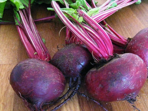 Pablo is an easy to grow variety of beetroot