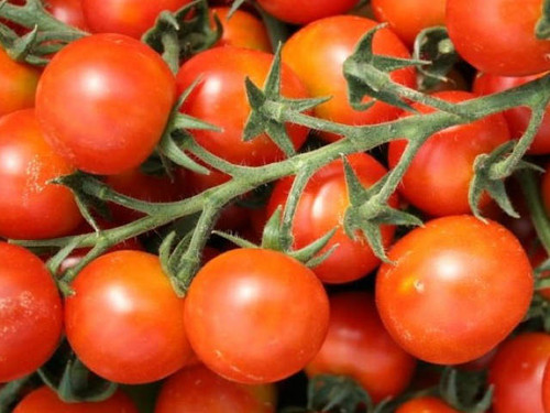 Sweet aperitif sweet & tangy cherry tomatoes