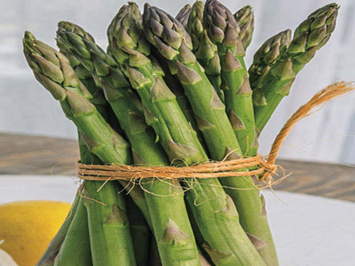 a nice bundle of jersey knight asparagus tips