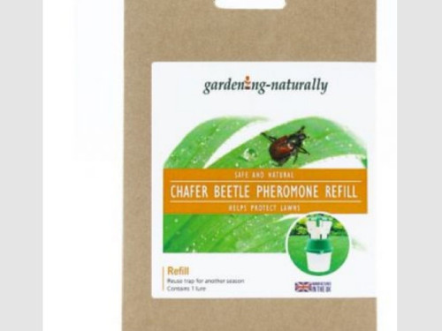 Chafer Beetle trap refill