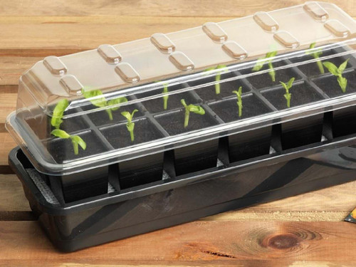 12 cell seed success kit with reservoir