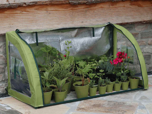 light booster cold frame