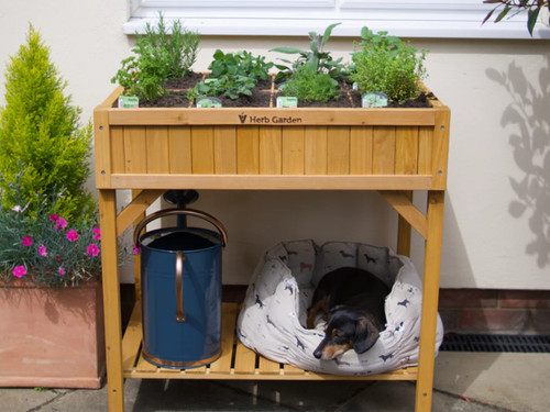 Vegtrug Raised Herb Garden - timber