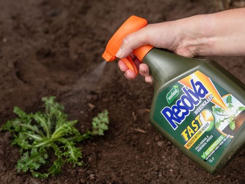 Resolva Fast Weedkiller Ready to Use is a fast-acting non-glyphosate formulation to control both weeds and moss.