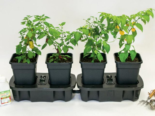 The self watering quadgrow planter