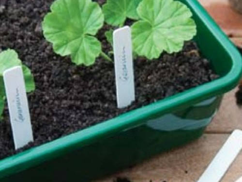 plastic plant labels in a pack of 50