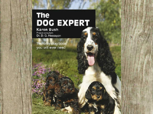 The Dog Expert is a handy manual for dog lovers