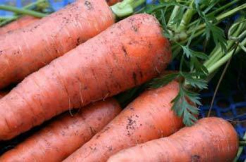 Roots (Carrots etc...)