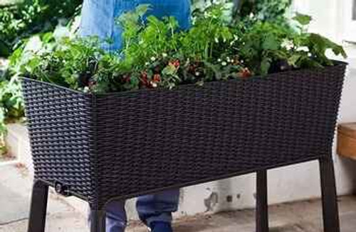 Patio Planters
