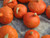 Uchiki kuri are small sweet red squashes