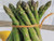 a nice bundle of Argenteuil asparagus tips