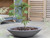 The Stewarts Varese low bowl planter with plant
