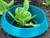 Slug and snail collar protecting a young salad plant