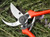 Bypass secateurs