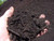 Organic compost for the vegetable garden