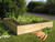 raised garden bed for growing vegetables at home