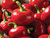 Sweet pepper dinero f1 seeds
