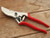 top quality garden pruner for flower arranging