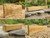 Planks for building allotment raised beds