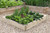 square timber raised bed for growing vegetables