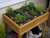Raised herb planter with 8 divided sections for growing herbs. Dog not included