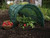 easy net tunnel row cover for gardening