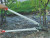 Felco No 22 Heavy Duty Loppers in use