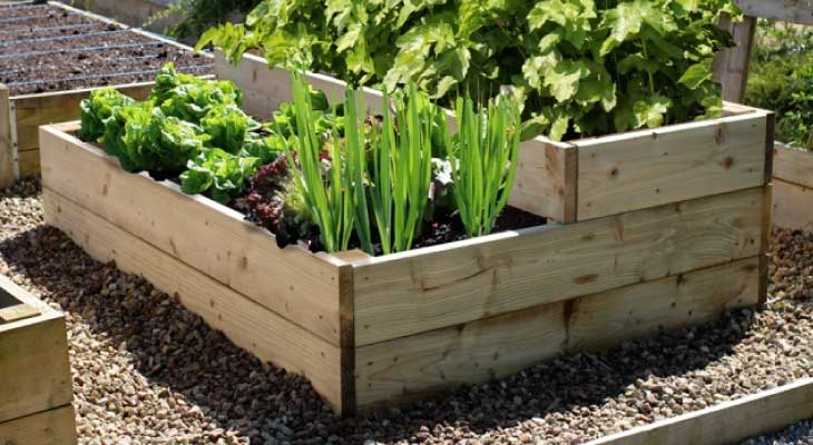 Raised vegetable bed specialists
