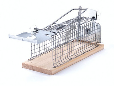 Buy Swissinno Mouse Classic Cage trap 1 pc(s)