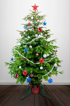 EVERGREEN Christmas Tree Stand For Real Live Trees - Up To 10 Feet EVERGREEN Christmas Tree Stand For Real Live Trees - Up To 10 Feet