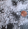 CITC 10 cu ft SnoBiz Fine Flakes