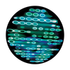 Apollo Water Beads - CS-0167