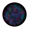 Apollo Colored Threads - CS-0177
