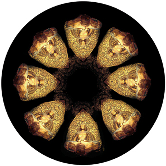 Rosco Infinite Buddha Glass Full Color Gobo #  86663