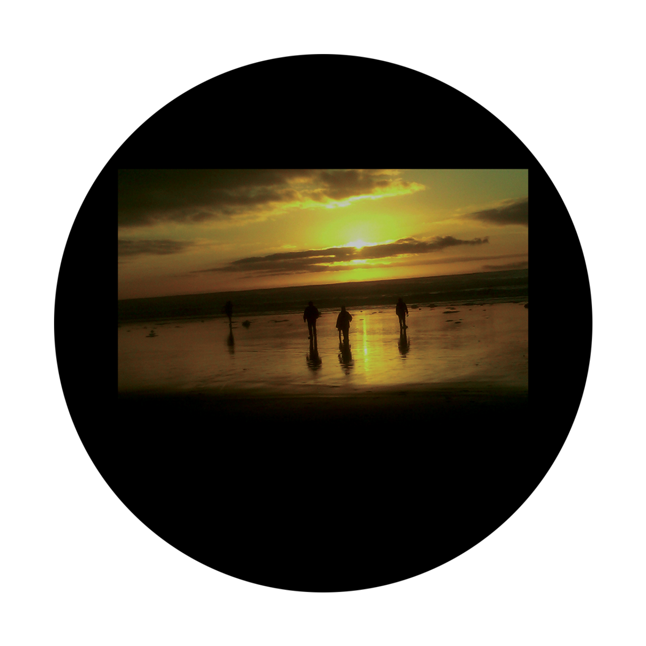 Apollo D. Antonakos - Beachfront - CSDS-8001