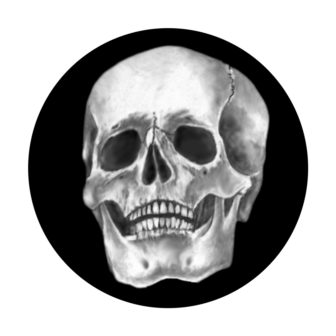 Apollo Skull - SR-0052