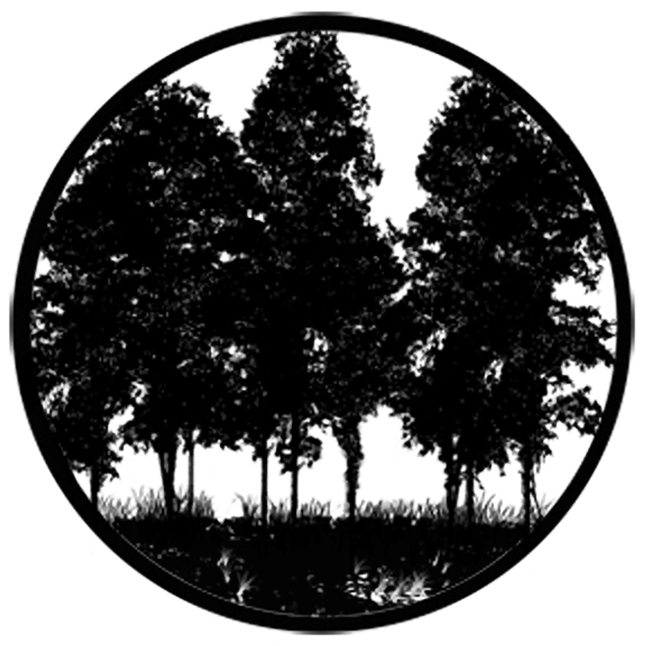 Rosco Tree Silhouette 2 Metal Gobo #  78432
