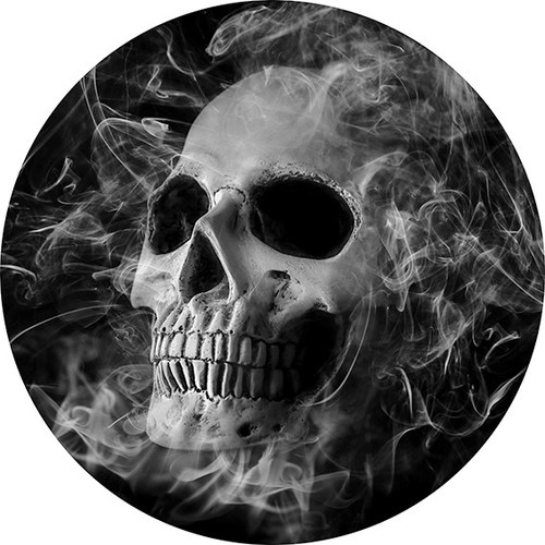 Rosco 82936 Warlock's Skull Gobo Rosco 82936 Warlock's Skull Gobo