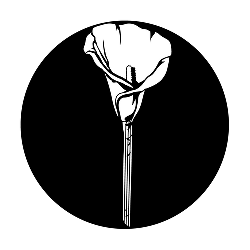 Apollo Lonely Calla Lily - ME-1184